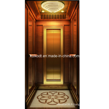 Ascenseur de villa avec acier inoxydable en acier Ti-Gold (KJX-BS03)